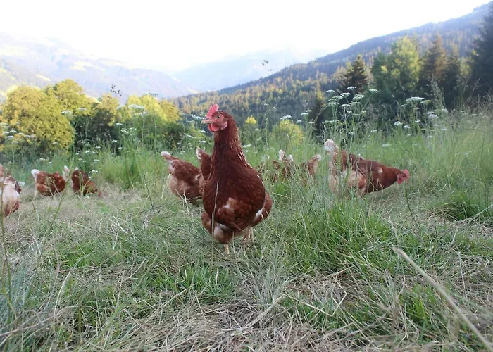 Stallfeldhof Apartamento