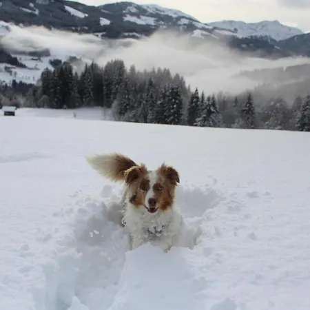 Stallfeldhof Apartamento *